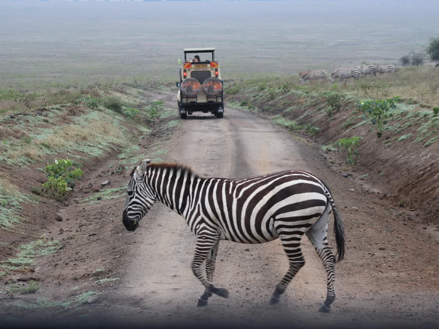 Safari Kenya